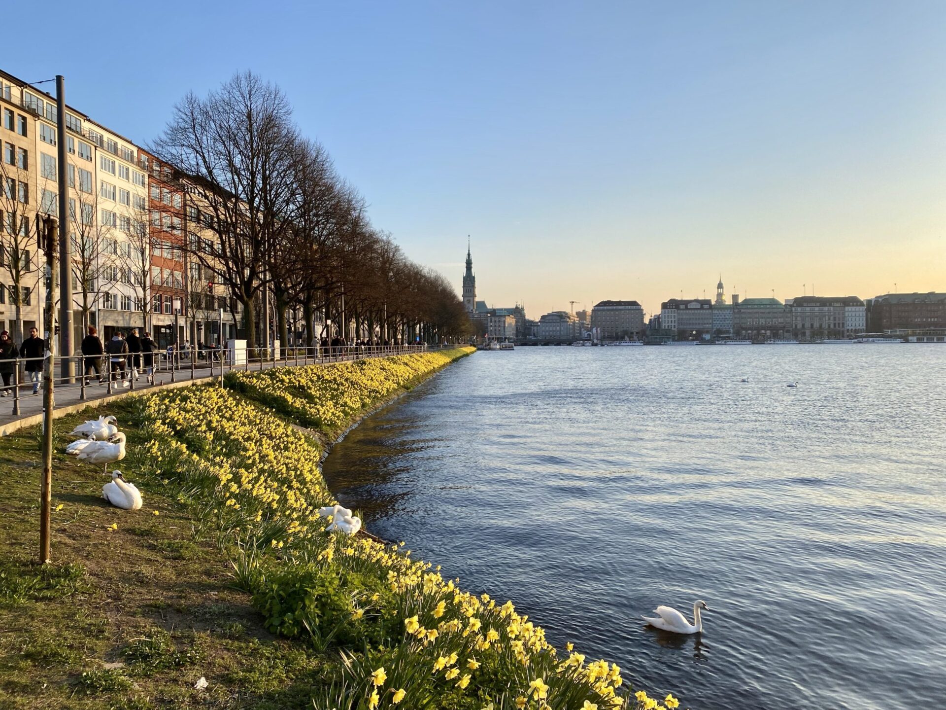 Binnenalster, Hamburg