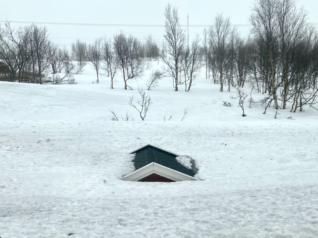 Hopefully just a garden shed!